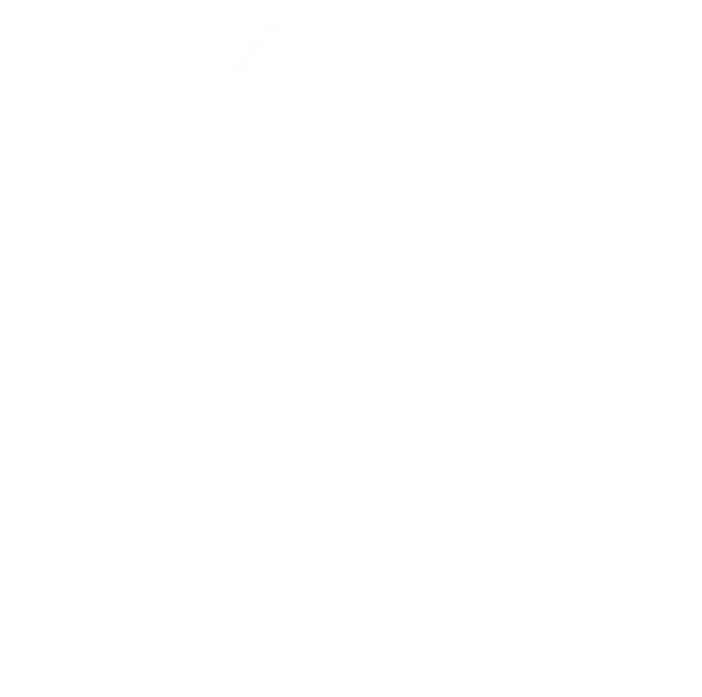 Al Raya logo