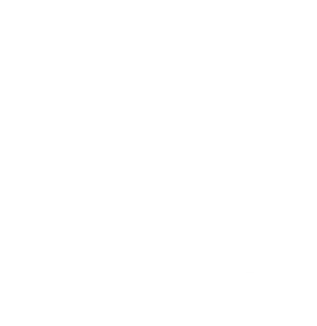 Al Waseet logo