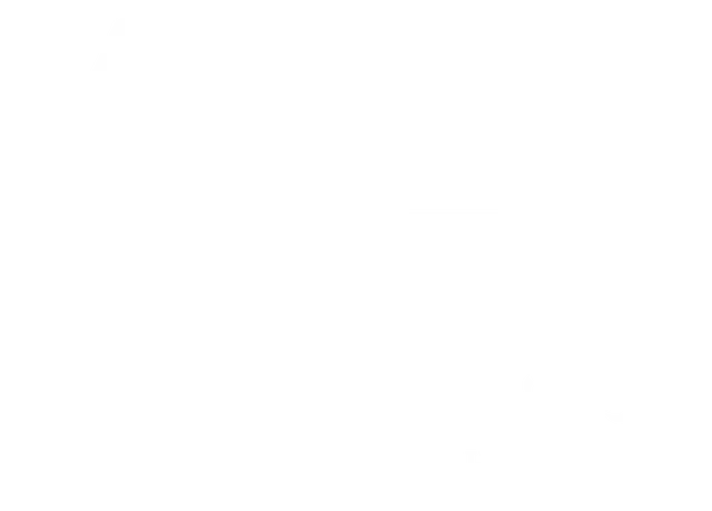Almadina logo