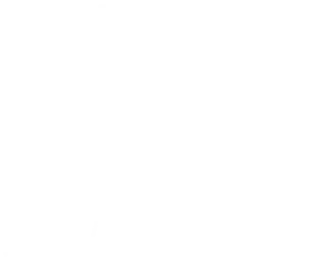 Jeddah Reporter logo